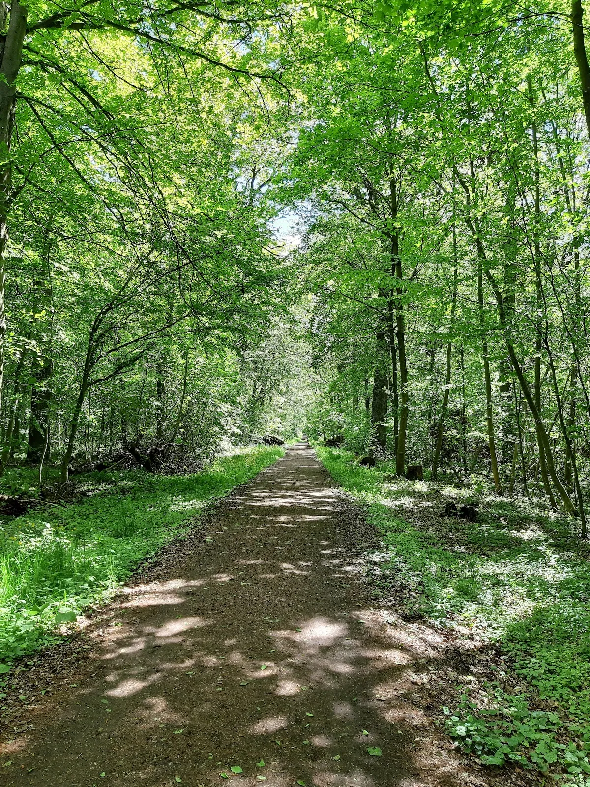 Природный пейзаж заповедника Вайдах унд Цеттахвальд