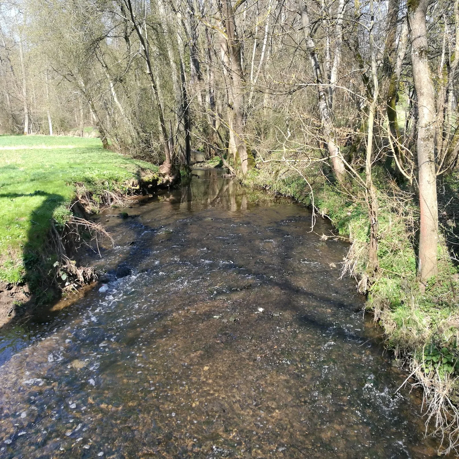 Природный пейзаж заповедника Вайдах унд Цеттахвальд