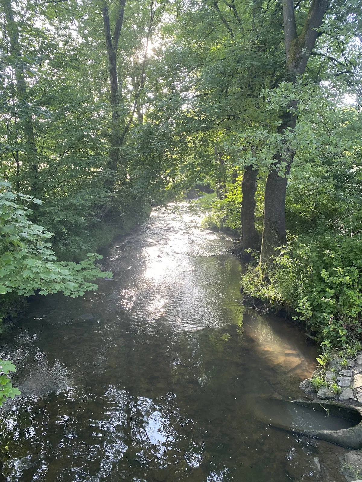 Природный пейзаж заповедника Вайдах унд Цеттахвальд