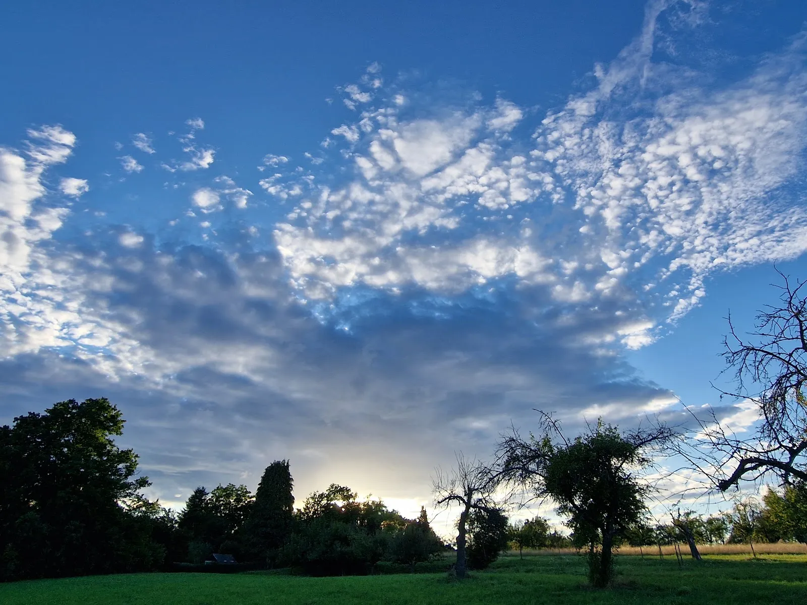 Природный пейзаж заповедника Вайдах унд Цеттахвальд