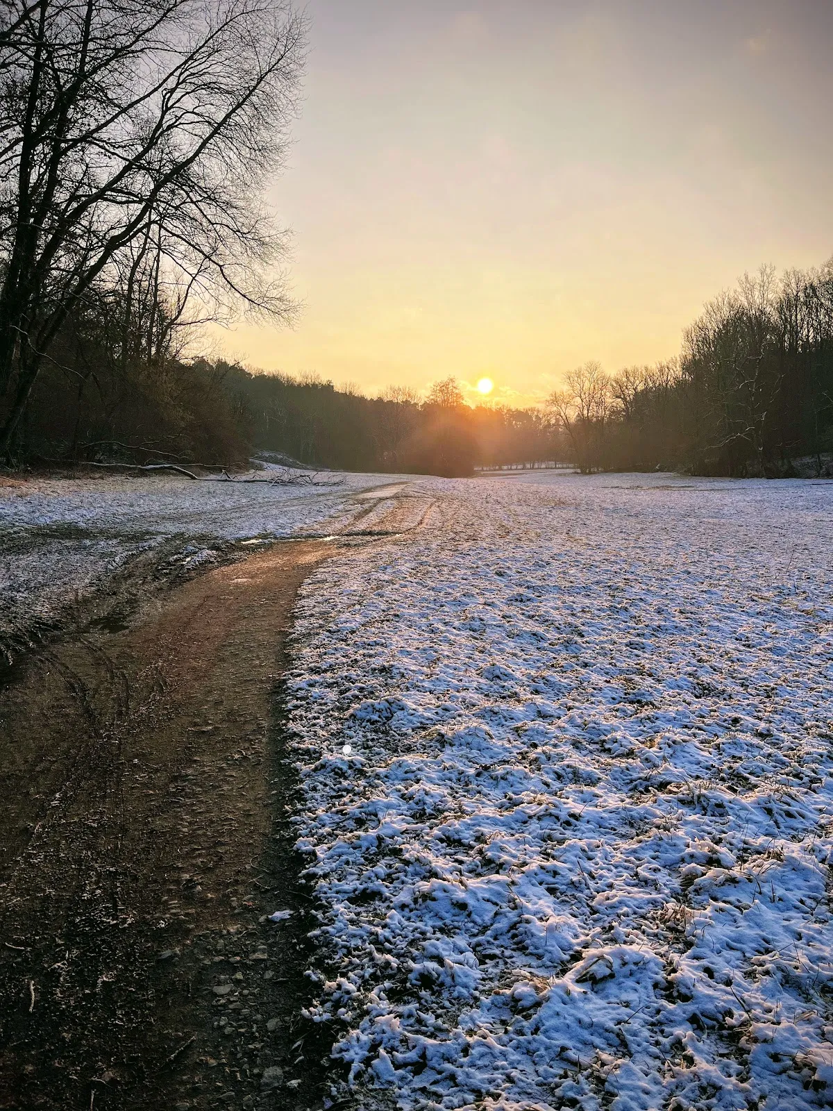 Природный пейзаж заповедника Вайдах унд Цеттахвальд