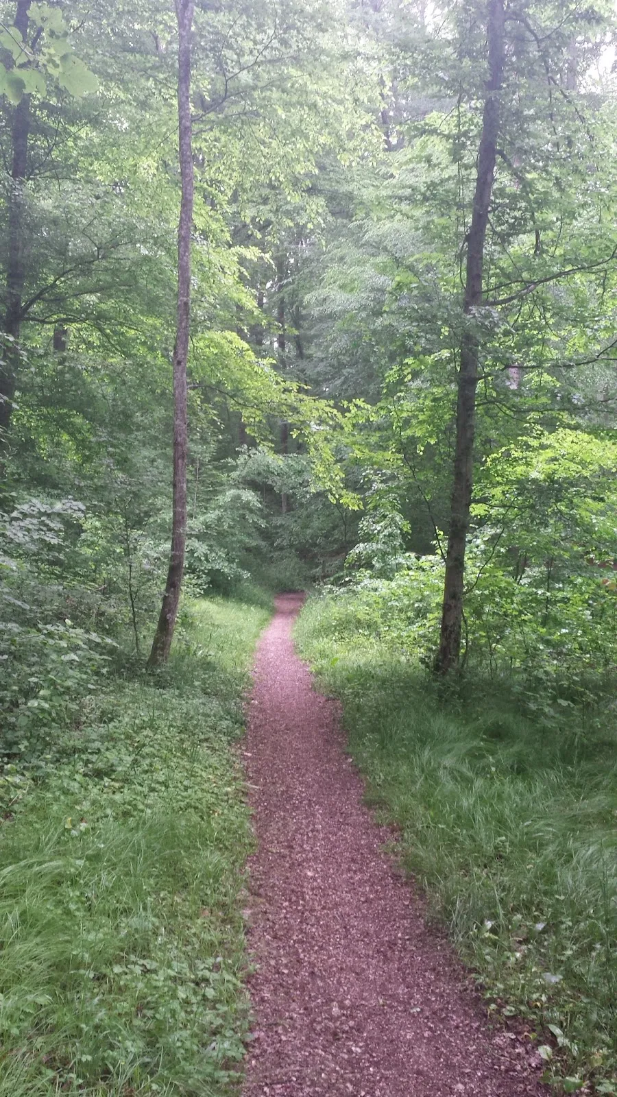 Вальдерлебниспфад Тальвальд