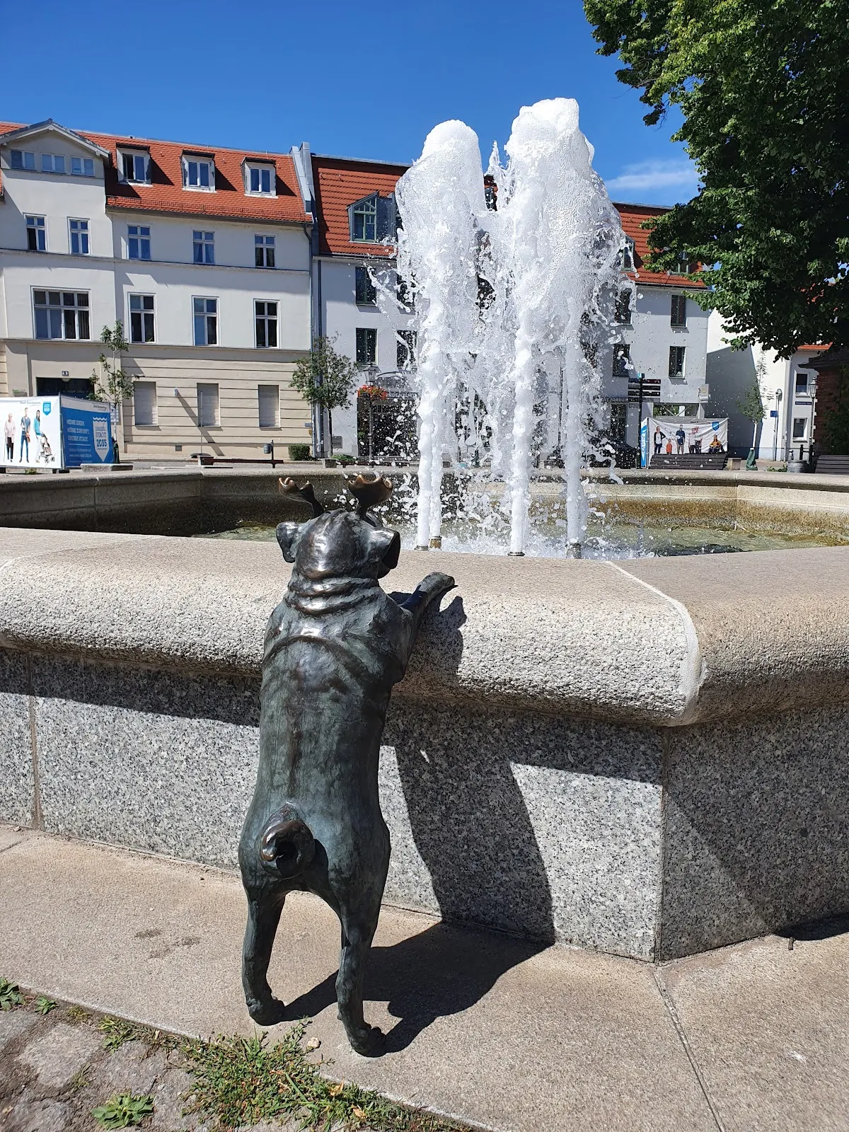 Исторический дом Вальдмопс в Бранденбурге-на-Хафеле