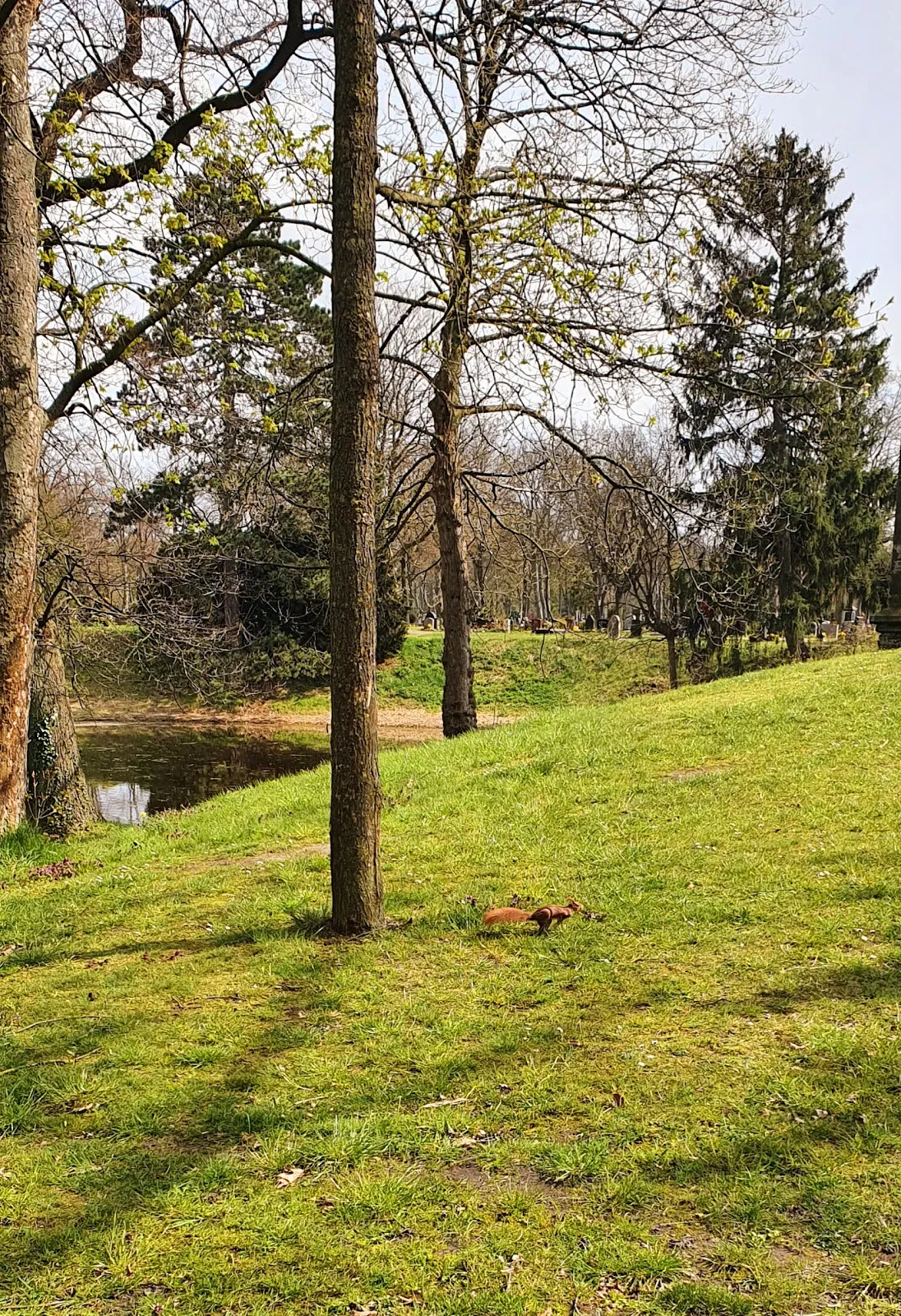 Вальфридхоф