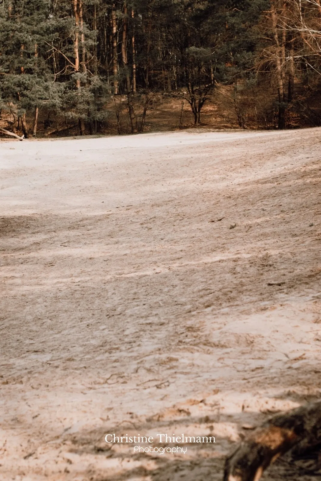 Природный заповедник Варвер Занд в Германии