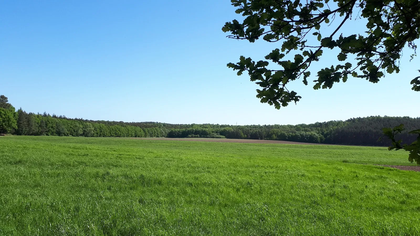 Природный заповедник Варвер Занд в Германии