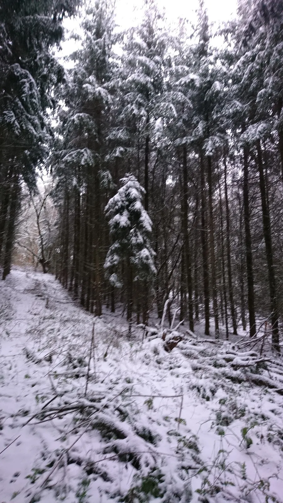 Природный заповедник Варвер Занд в Германии