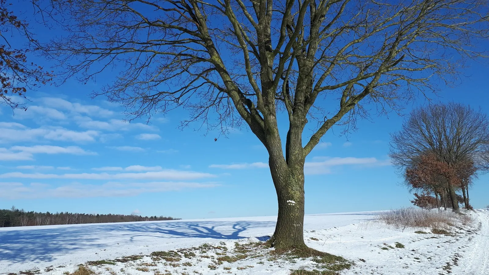 Природный заповедник Варвер Занд в Германии