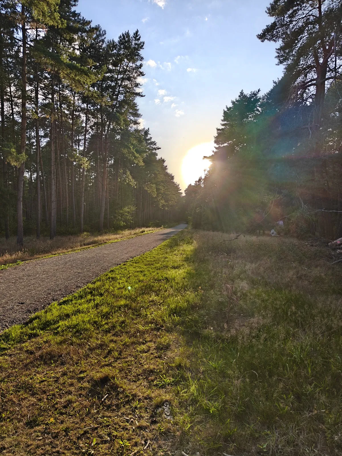 Природный заповедник Варвер Занд в Германии