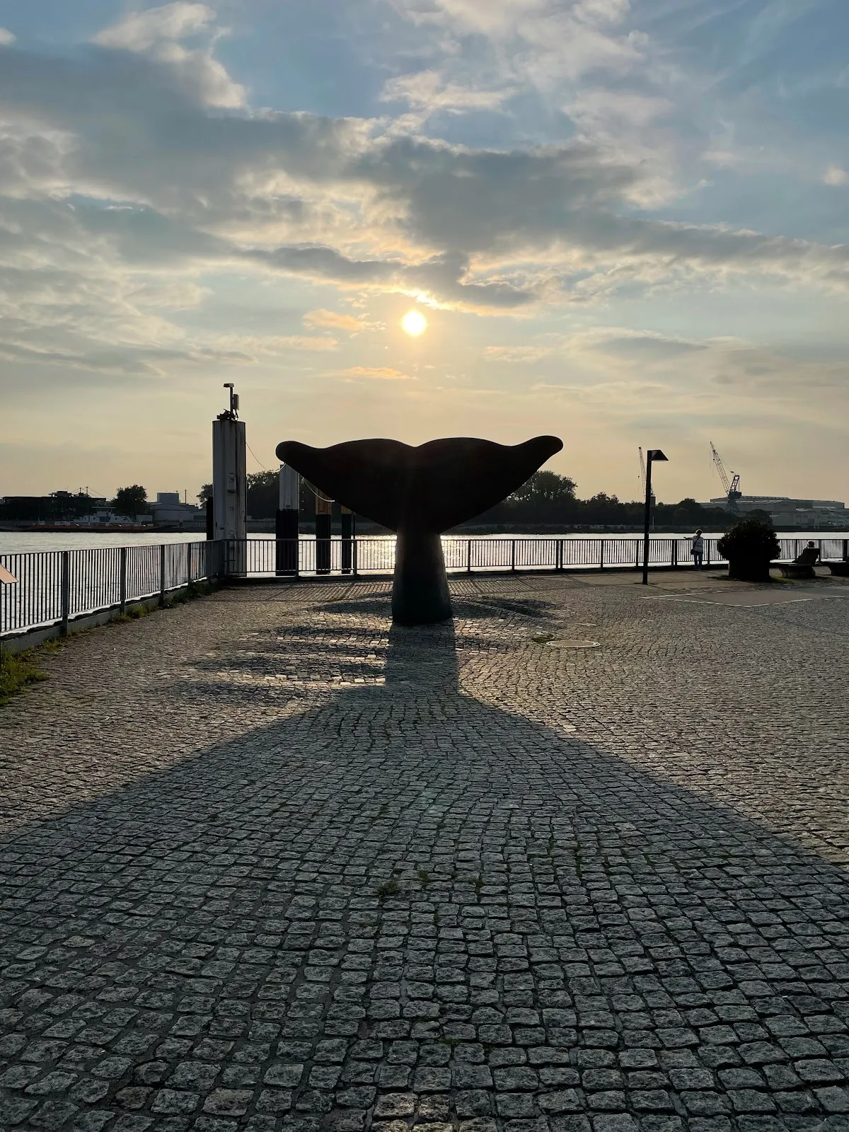 Вексская китовая плавник