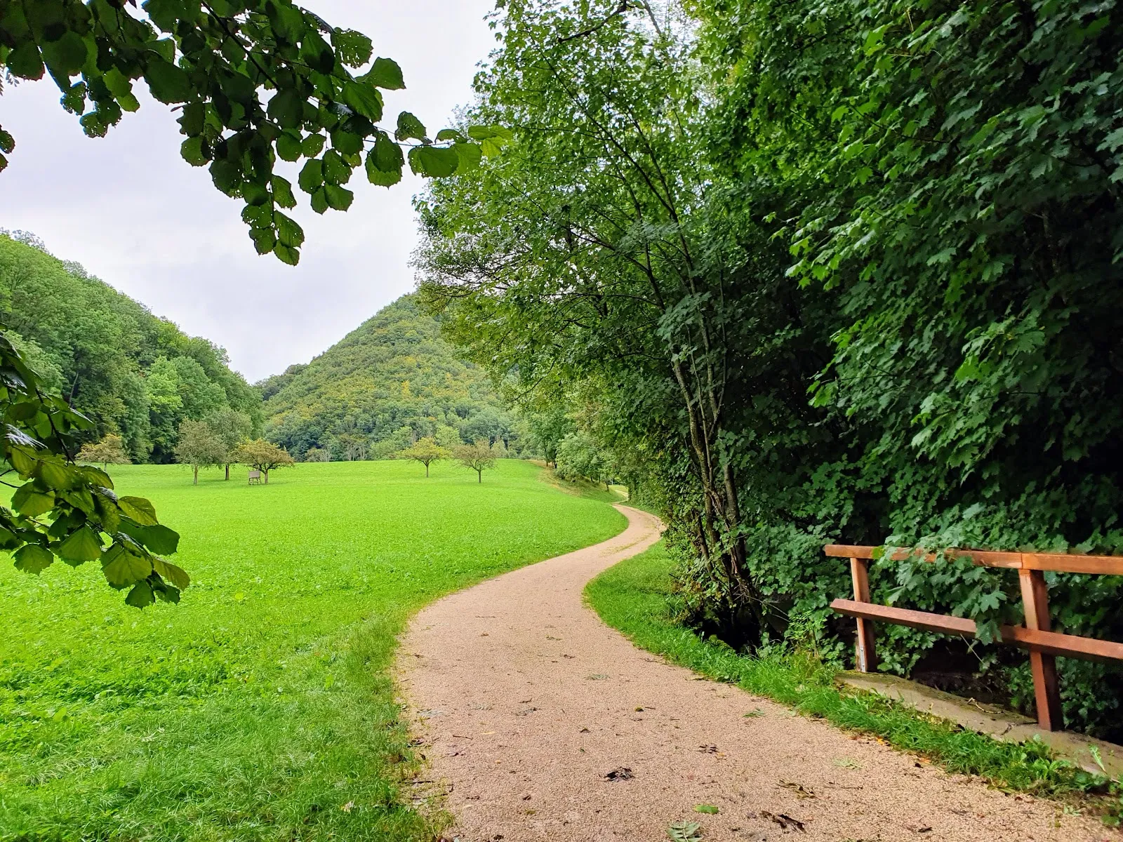 Пейзаж Верхней долины Леннинген с лесами и полями.