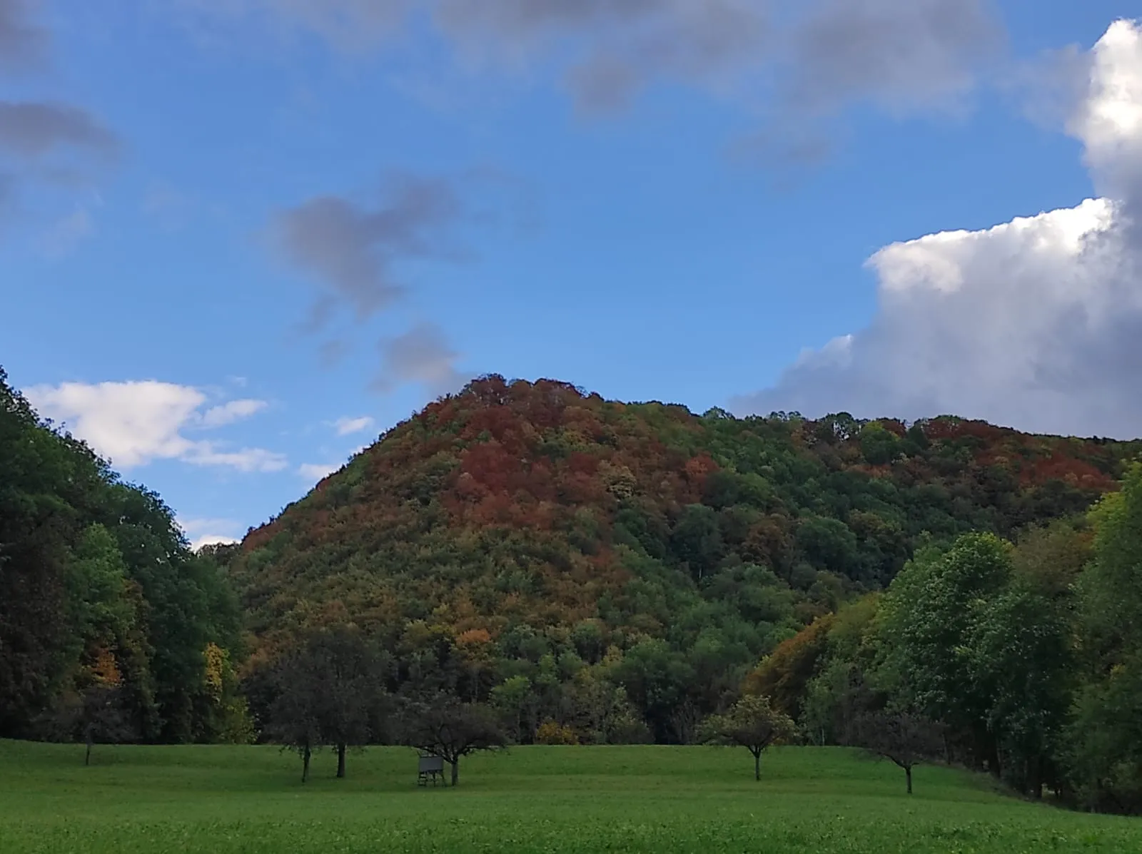Пейзаж Верхней долины Леннинген с лесами и полями.