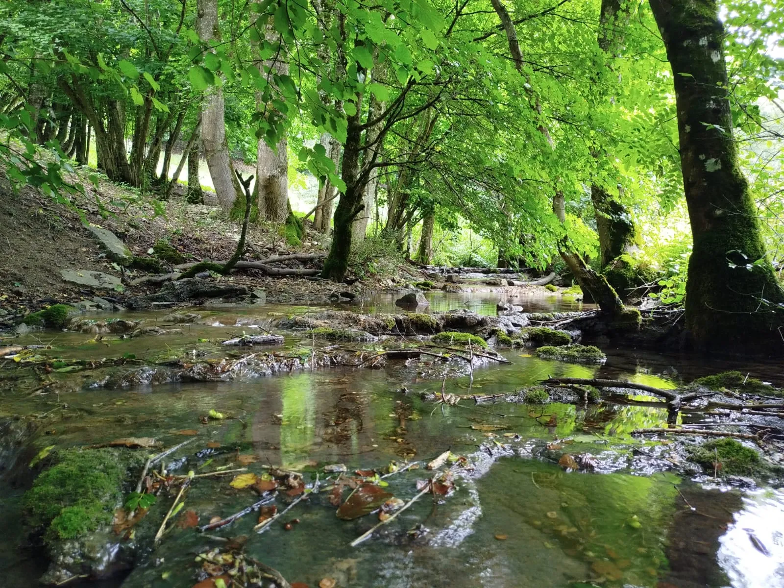Пейзаж Верхней долины Леннинген с лесами и полями.