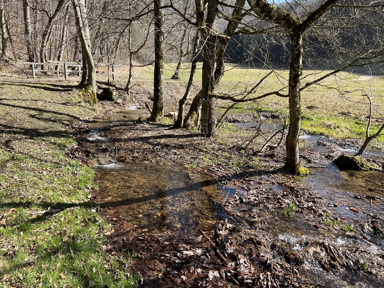 Пейзаж Верхней долины Леннинген с лесами и полями.