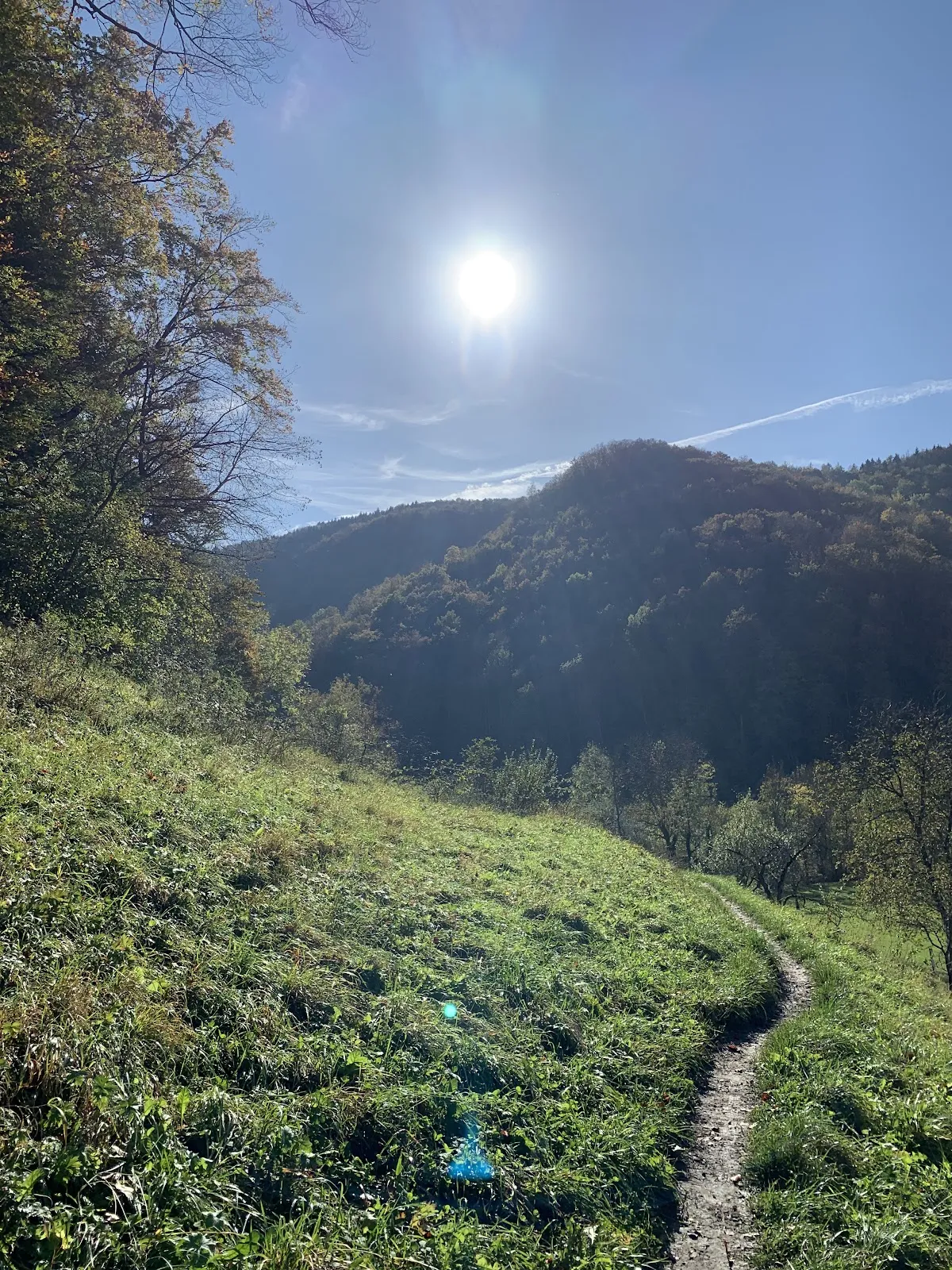 Пейзаж Верхней долины Леннинген с лесами и полями.
