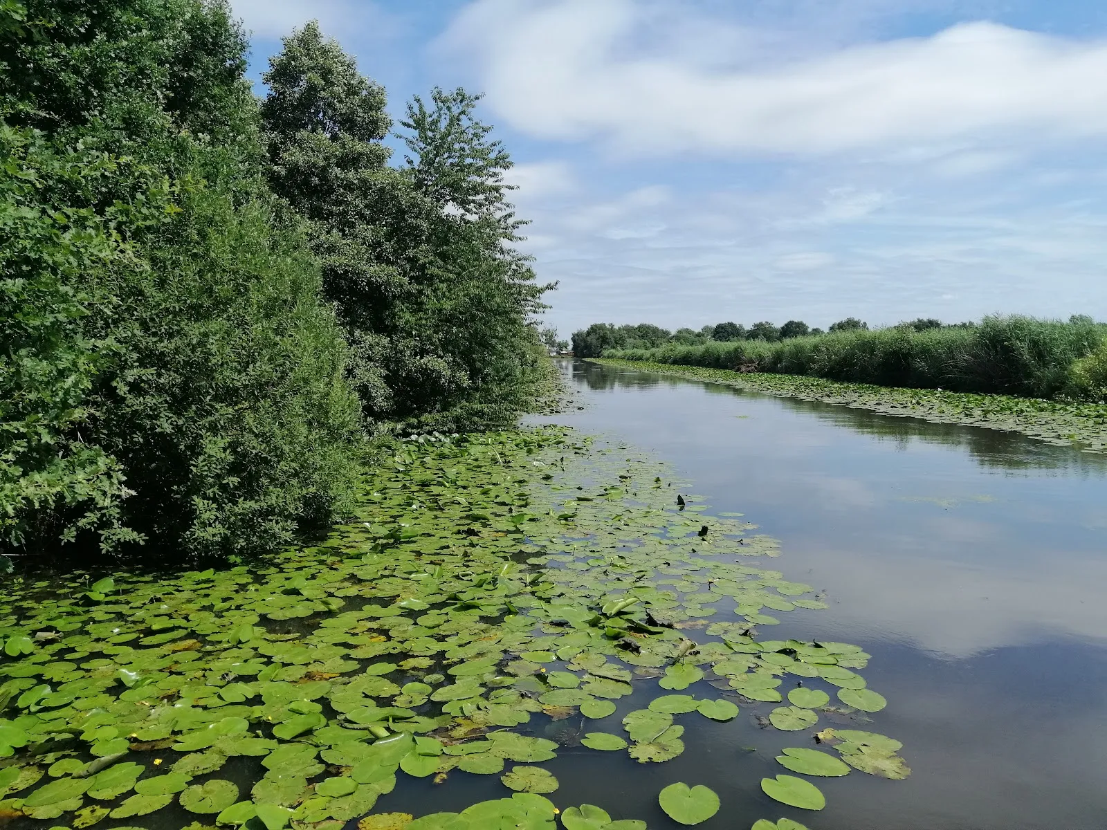 Природный пейзаж заповедника Вестлихес Холлерланд