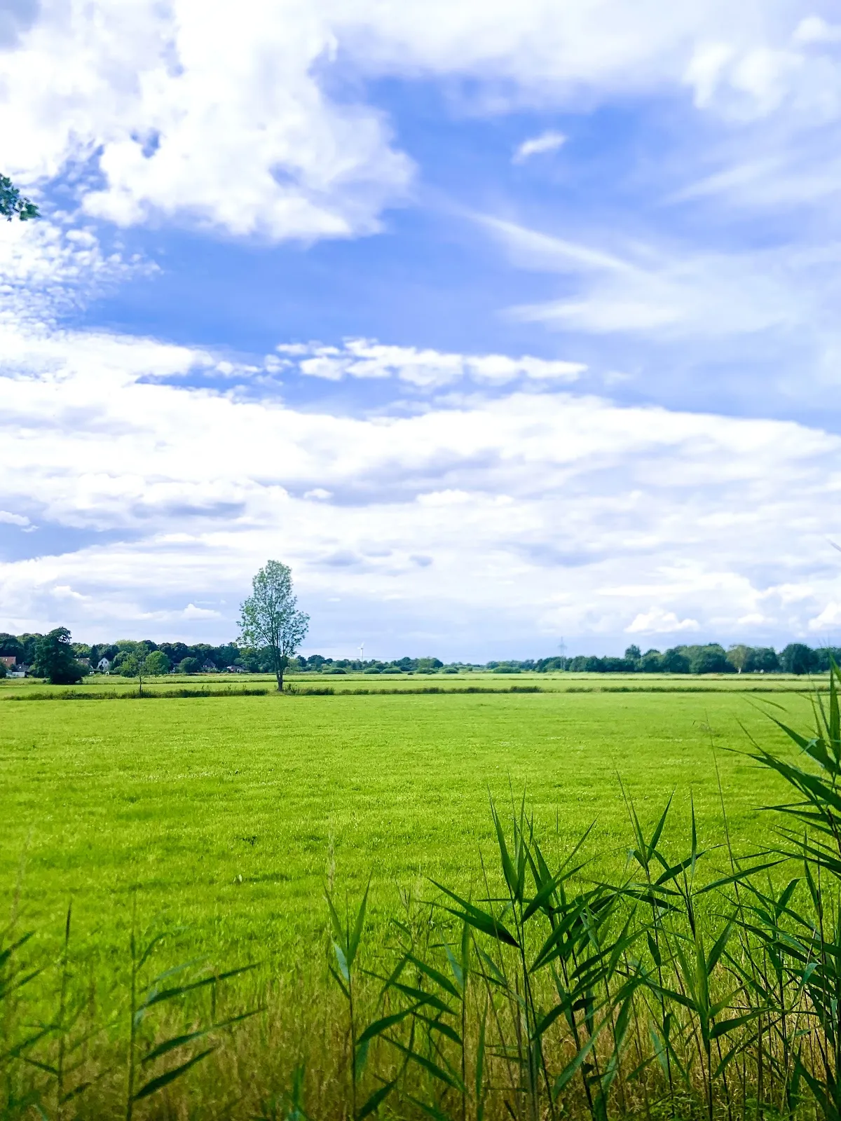 Природный пейзаж заповедника Вестлихес Холлерланд