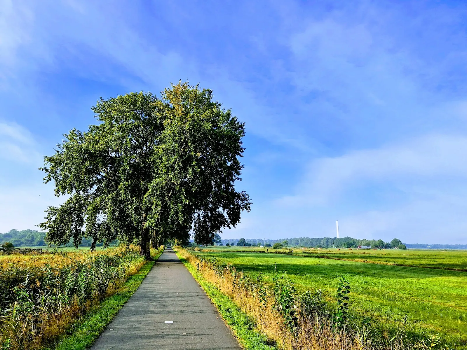 Природный пейзаж заповедника Вестлихес Холлерланд