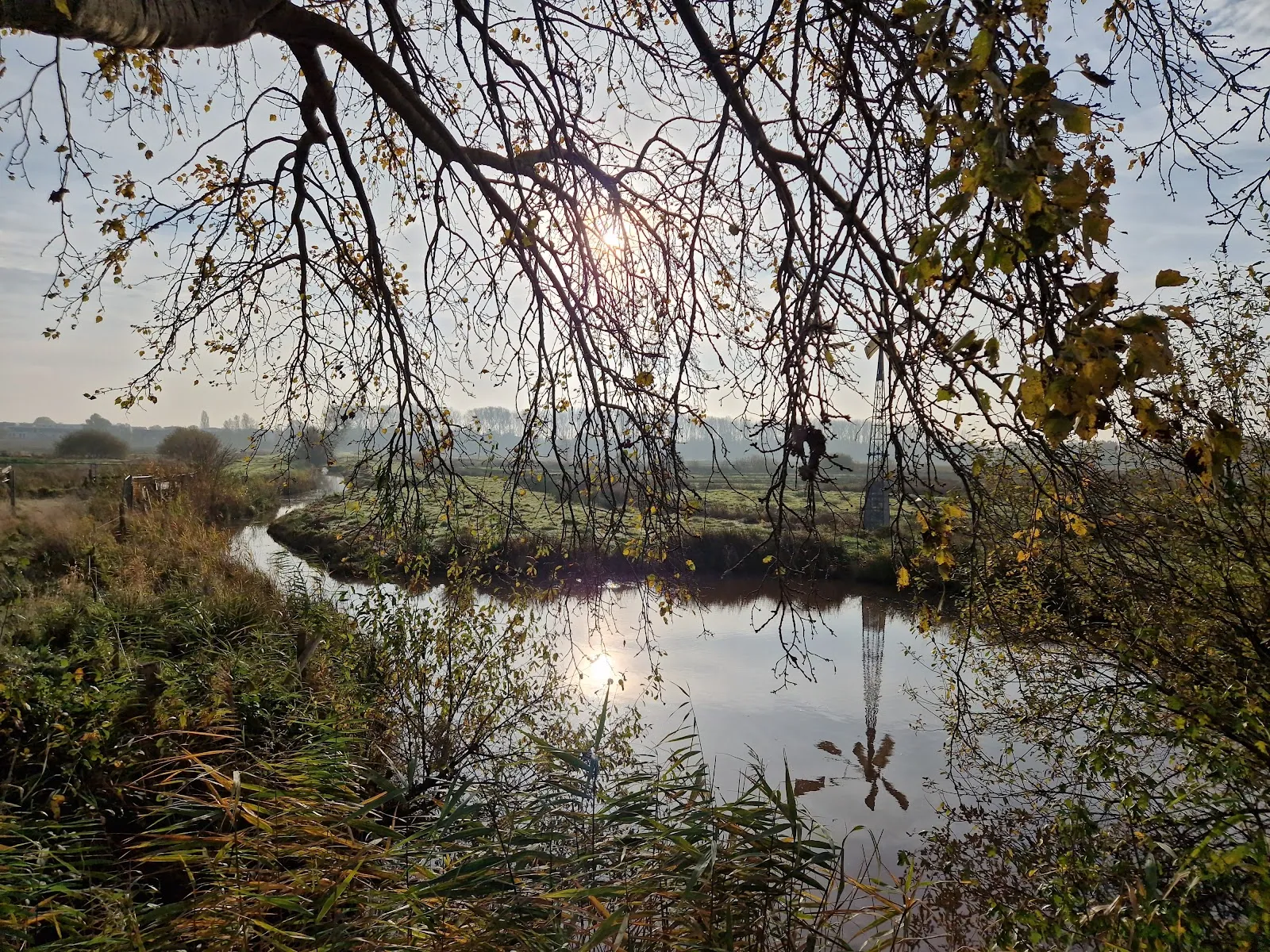 Природный пейзаж заповедника Вестлихес Холлерланд