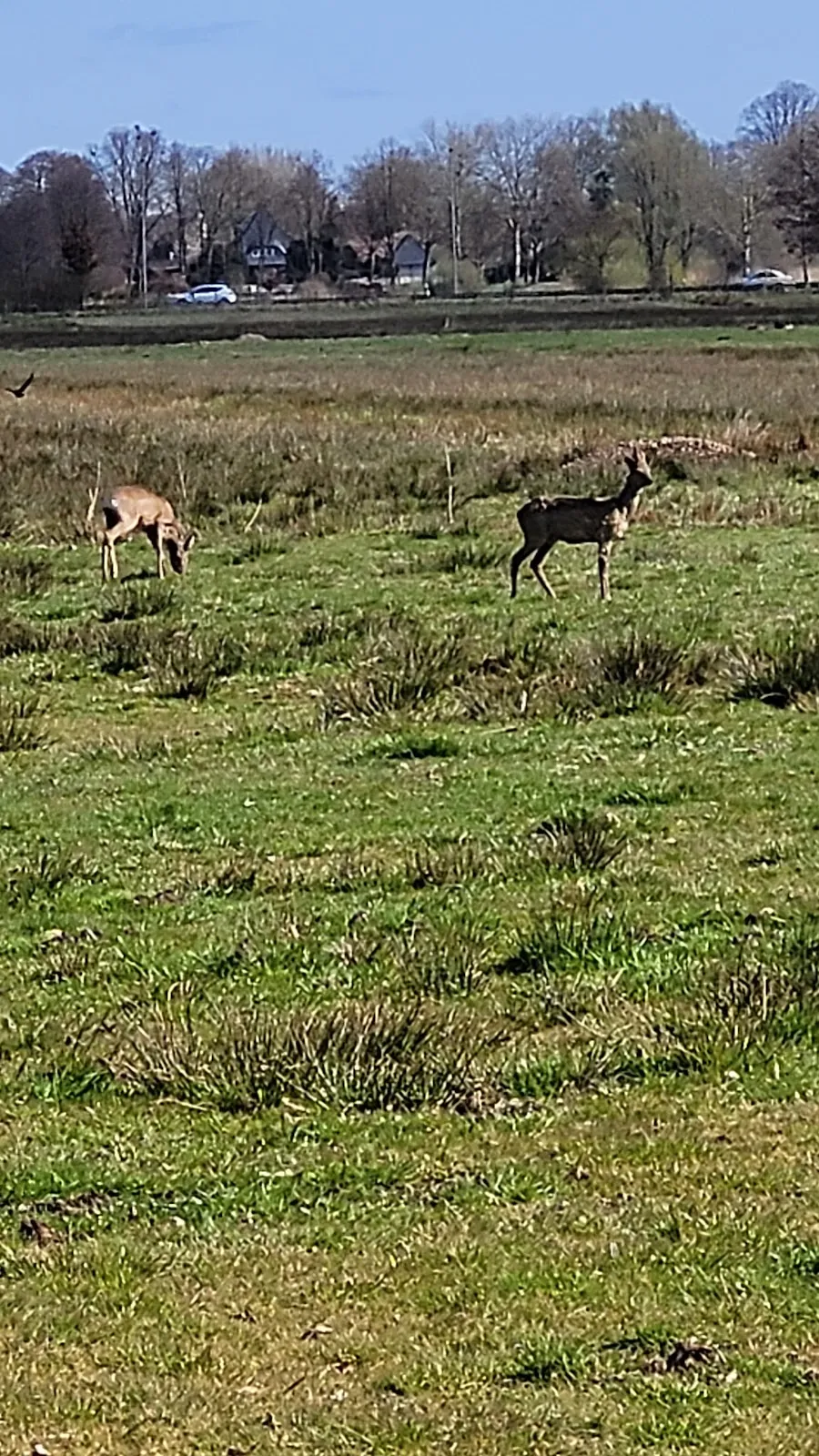 Природный пейзаж заповедника Вестлихес Холлерланд