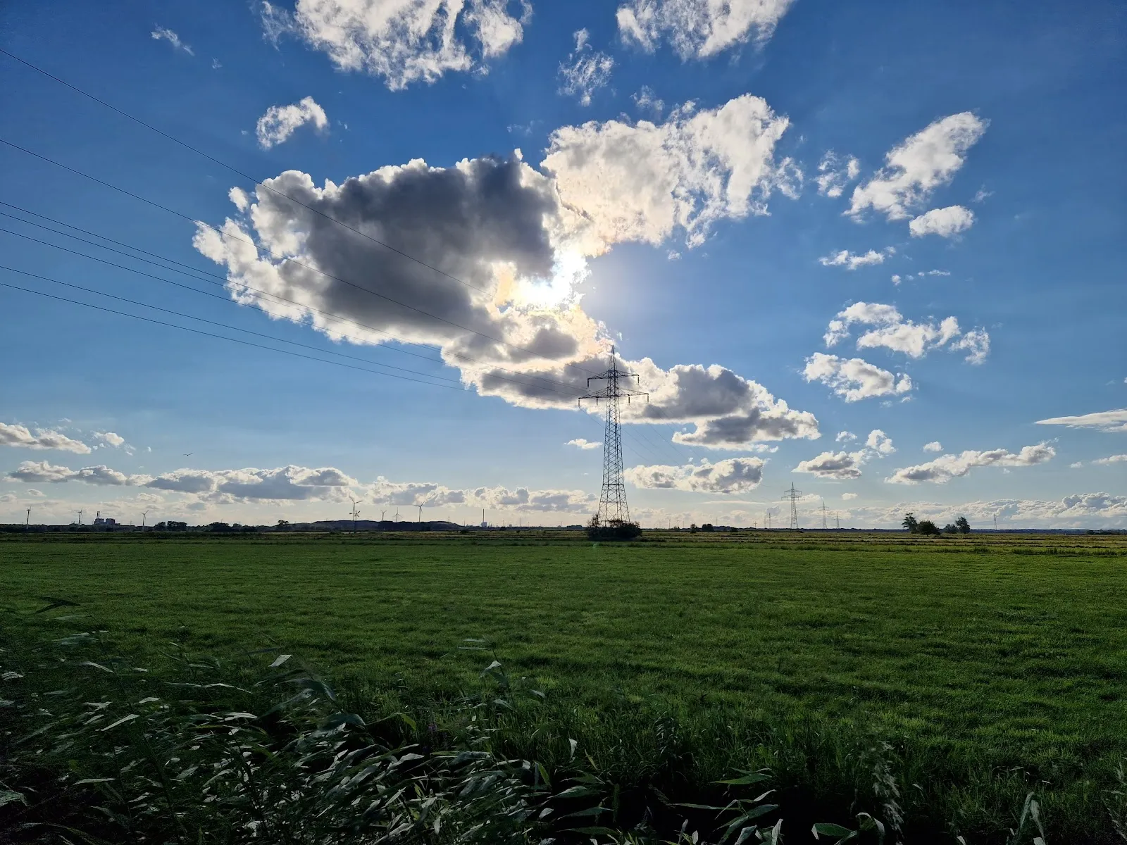 Природный пейзаж заповедника Вестлихес Холлерланд