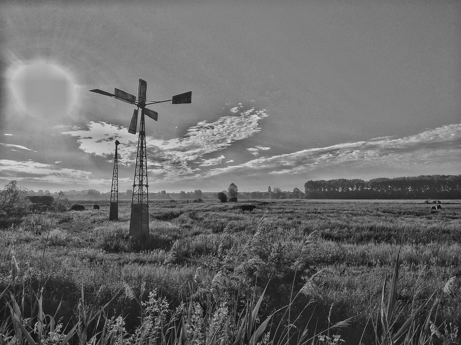 Природный пейзаж заповедника Вестлихес Холлерланд