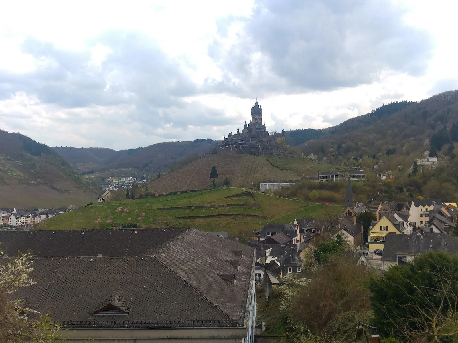 Ветеринарная клиника доктора Франка Файдена