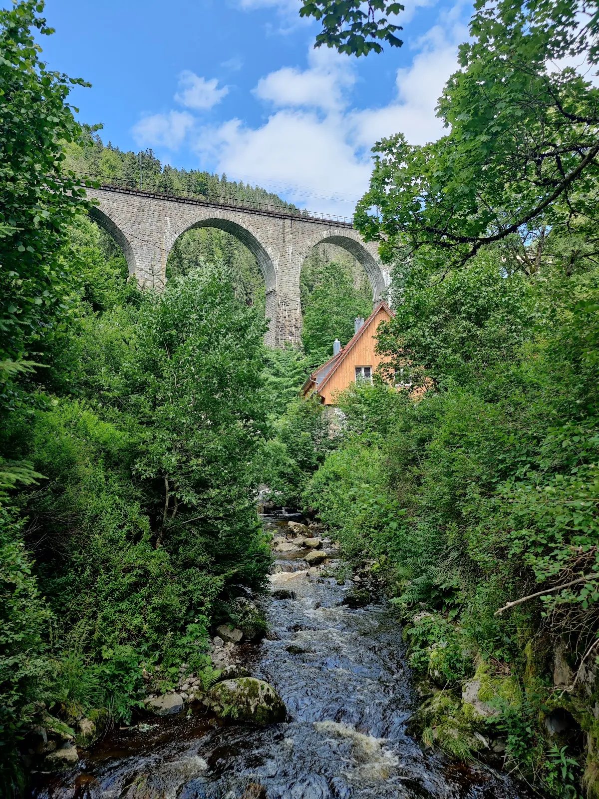 Виадукт Равенсбург, исторический железнодорожный мост в Германии.