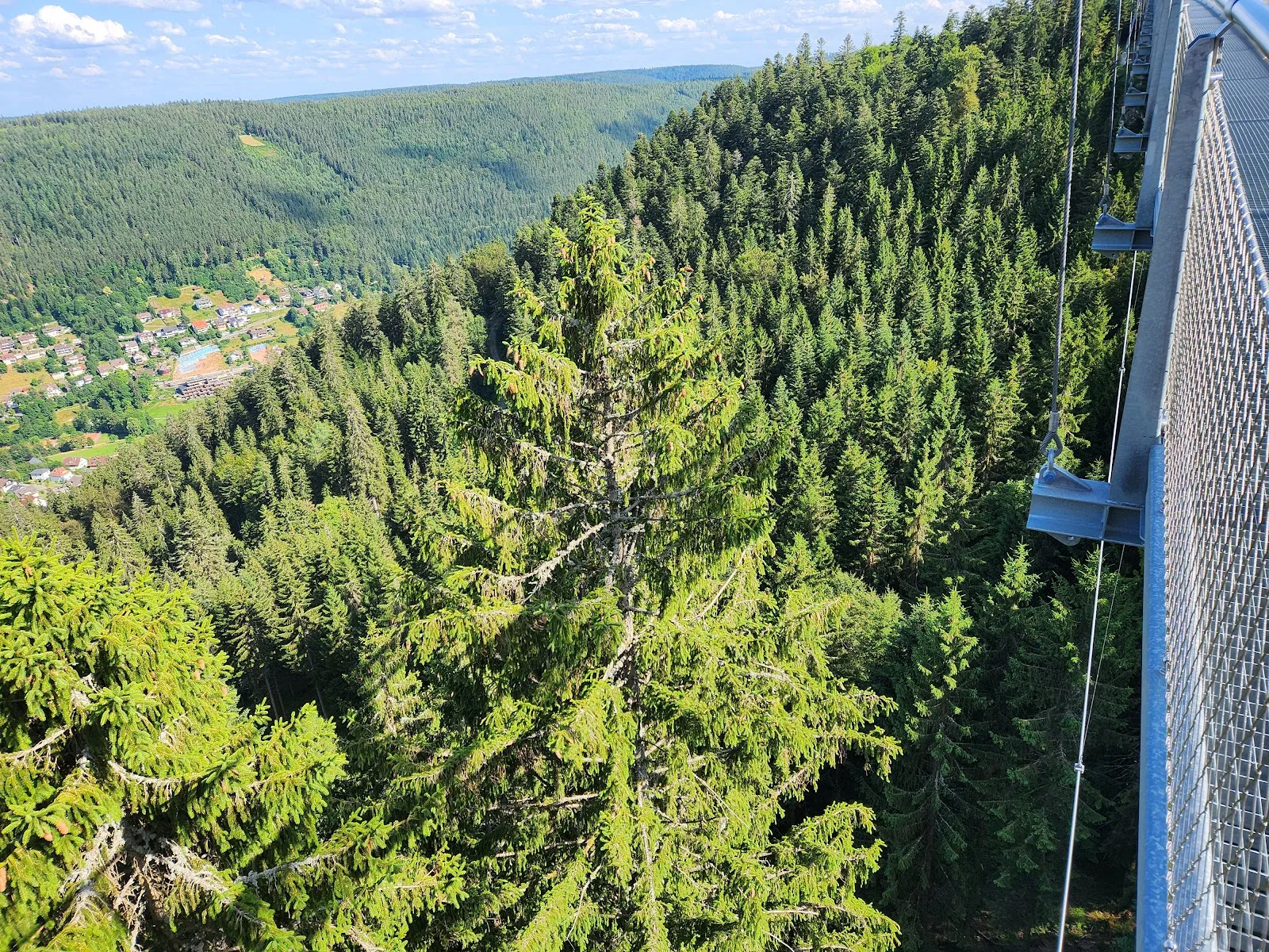 Подвесной мост Вильдлайн в Бад-Вильдбаде, Германия