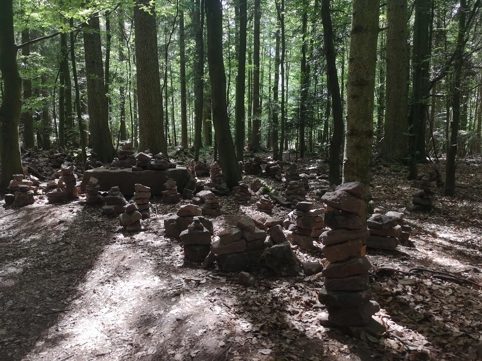 Подвесной мост Вильдлайн в Бад-Вильдбаде, Германия