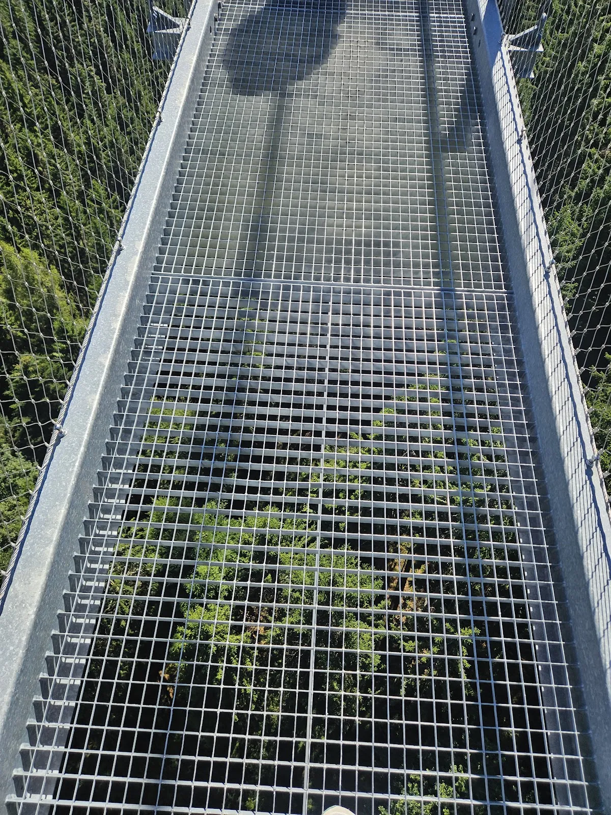 Подвесной мост Вильдлайн в Бад-Вильдбаде, Германия