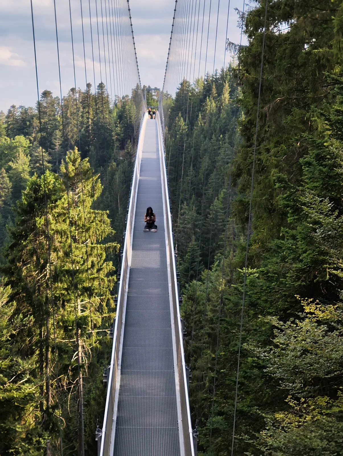 Подвесной мост Вильдлайн в Бад-Вильдбаде, Германия