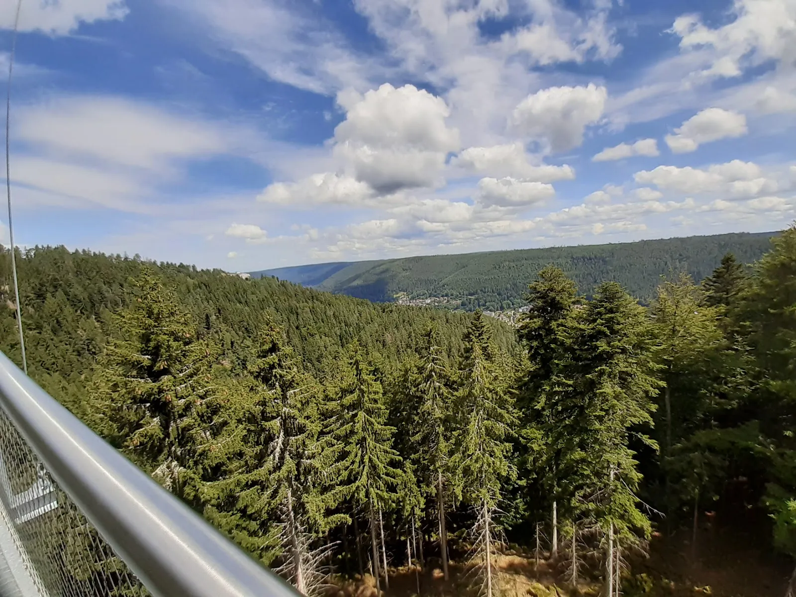 Подвесной мост Вильдлайн в Бад-Вильдбаде, Германия