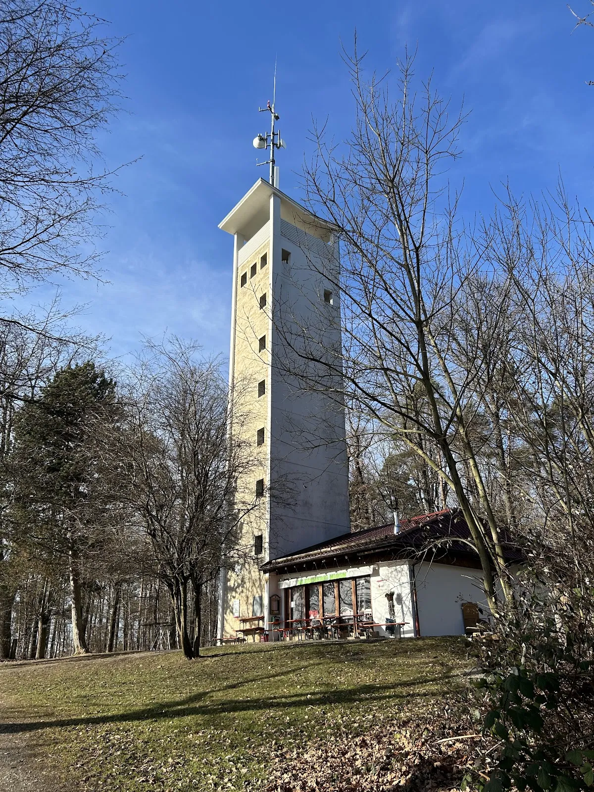 Вильгельмсхёэ