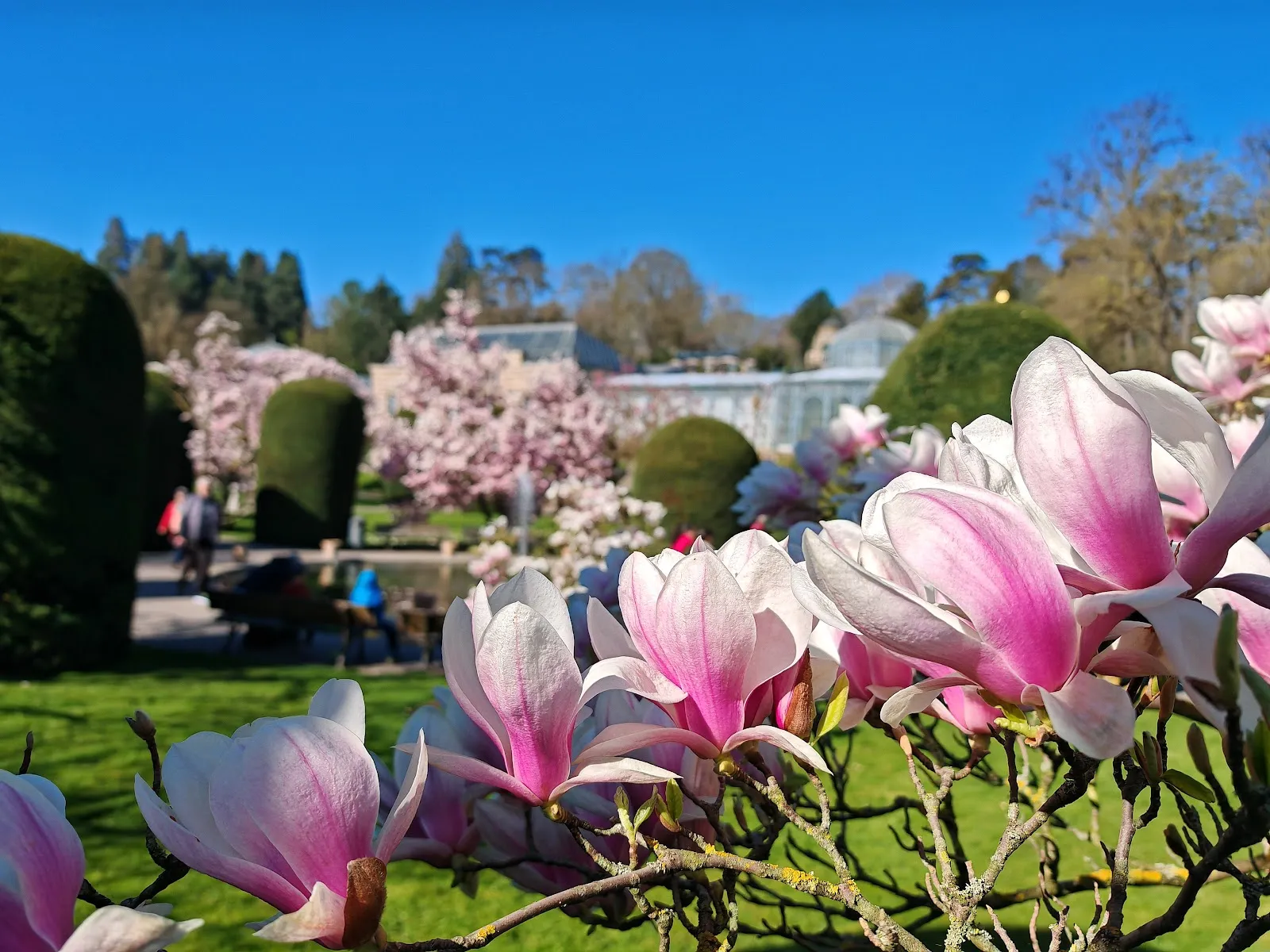Вилхельма, зоолого-ботанический сад в Штутгарте, Германия
