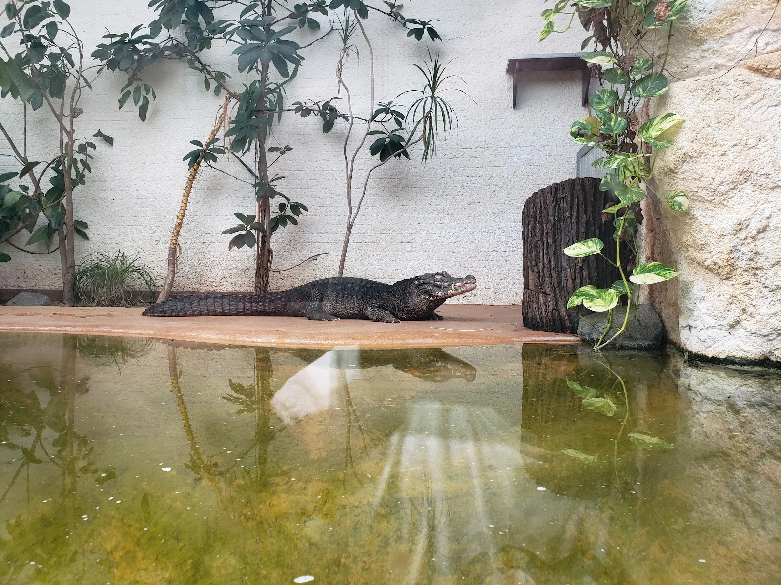 Виварий Дармштадт