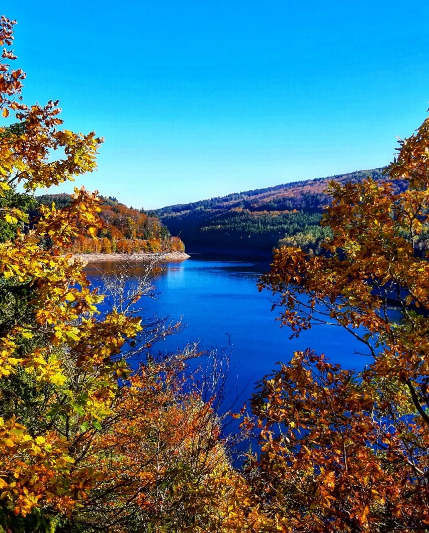 Вид на водохранилище Ноннвайлер с плотиной и окружающей зеленью