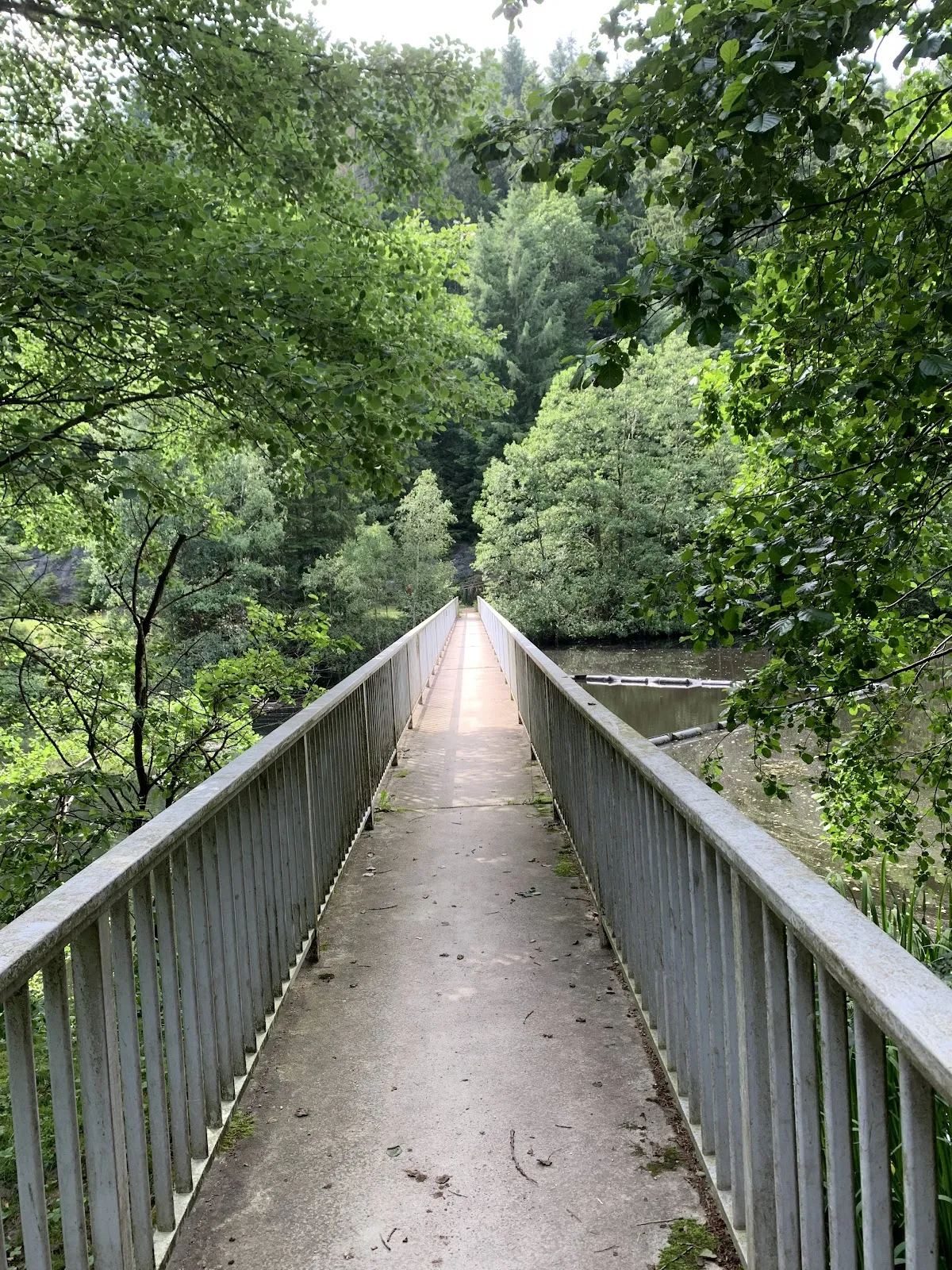 Вид на водохранилище Ноннвайлер с плотиной и окружающей зеленью