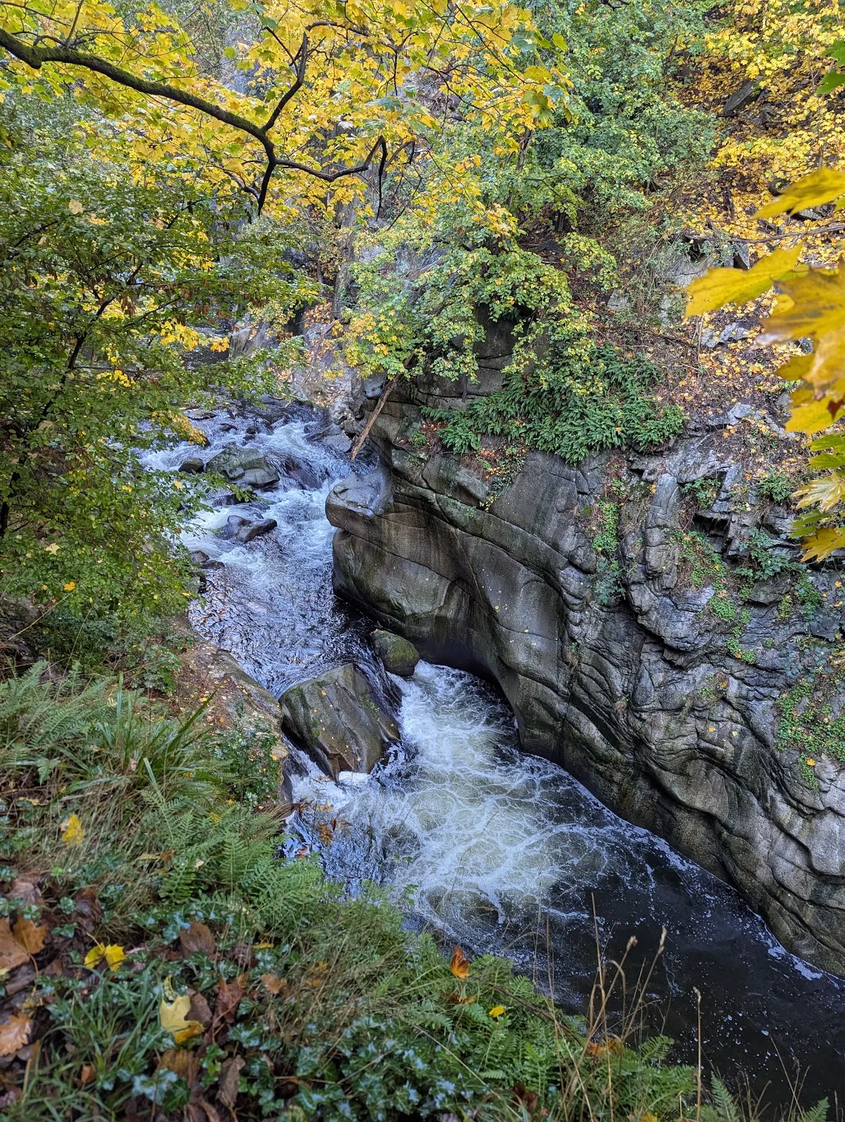 Водопад Бодекессель в окружении зеленых деревьев