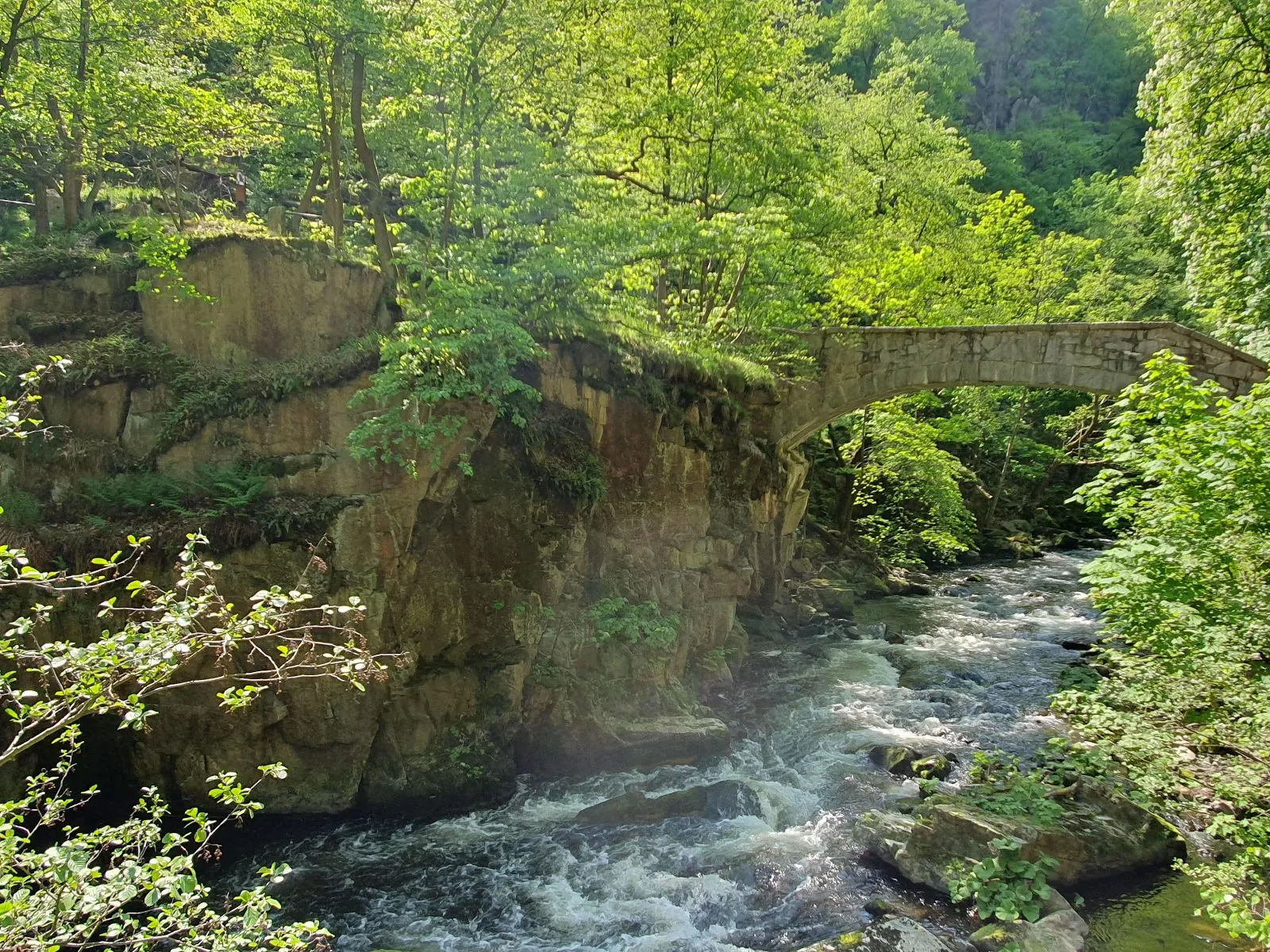 Водопад Бодекессель в окружении зеленых деревьев