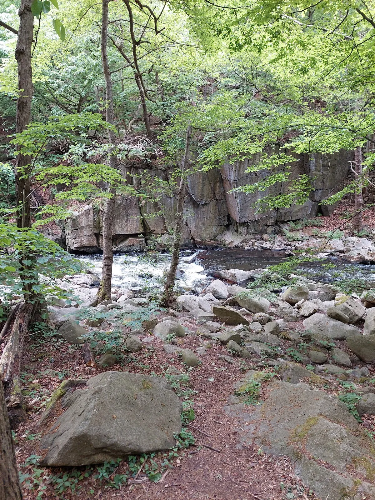 Водопад Бодекессель в окружении зеленых деревьев