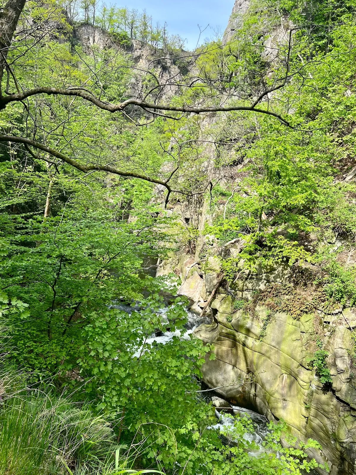 Водопад Бодекессель в окружении зеленых деревьев