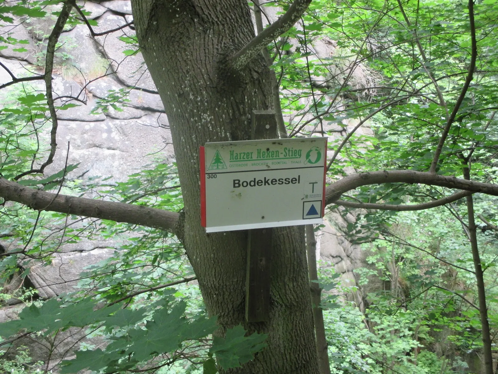 Водопад Бодекессель в окружении зеленых деревьев