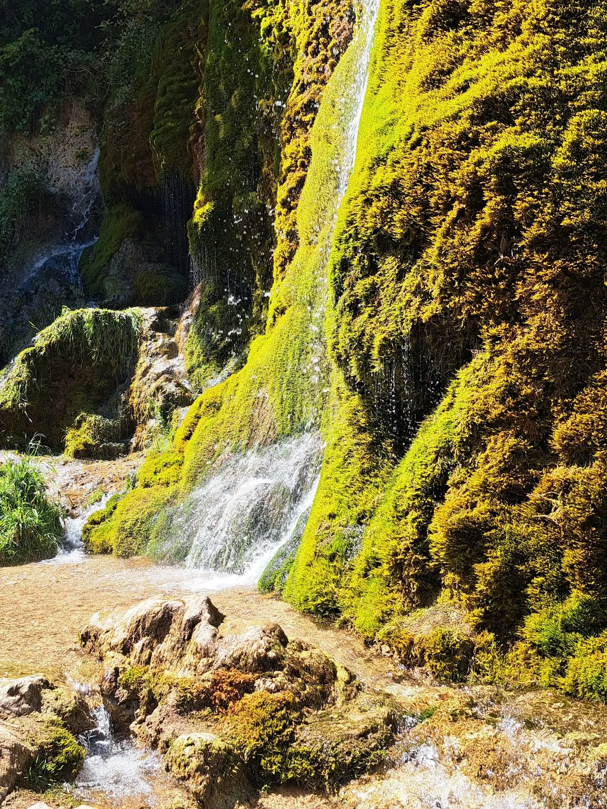 Вид на водопад Драймюлен с падающей водой и окружающим лесом