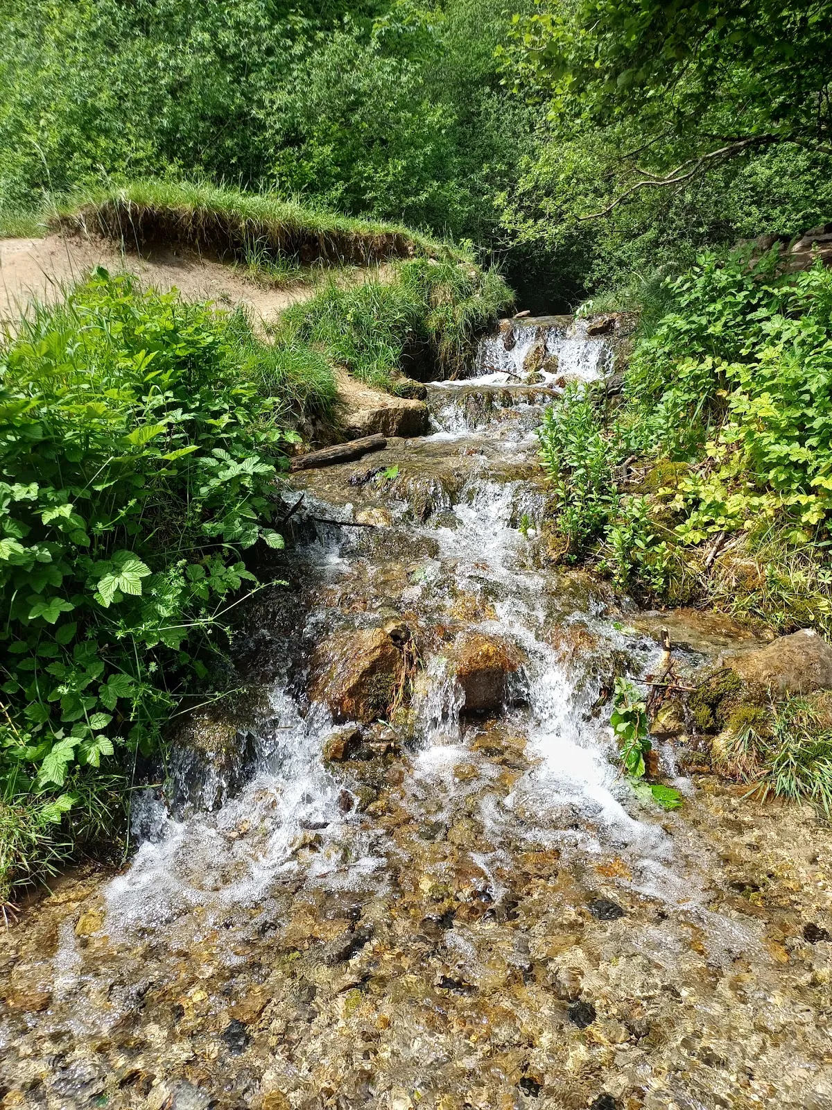 Вид на водопад Драймюлен с падающей водой и окружающим лесом