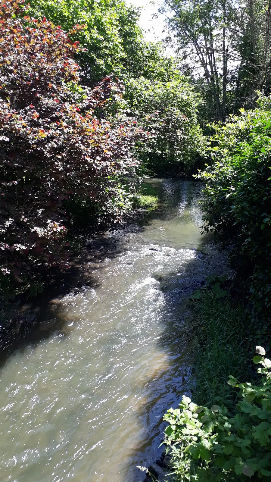 Вид на водопад Драймюлен с падающей водой и окружающим лесом