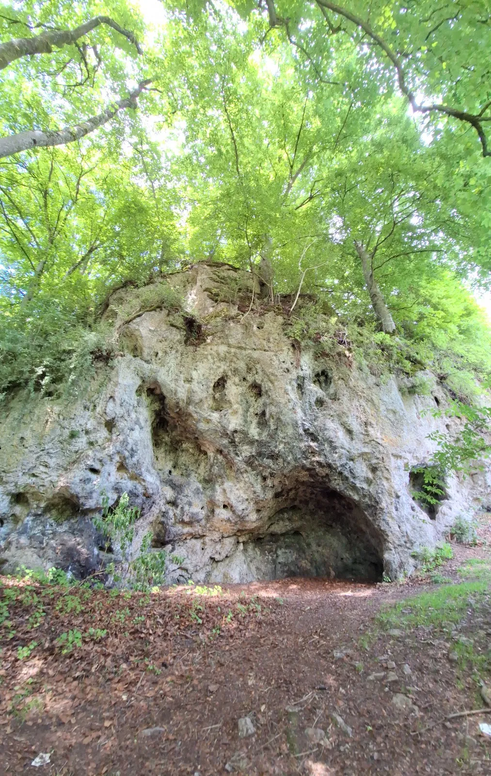 Вид на водопад Драймюлен с падающей водой и окружающим лесом