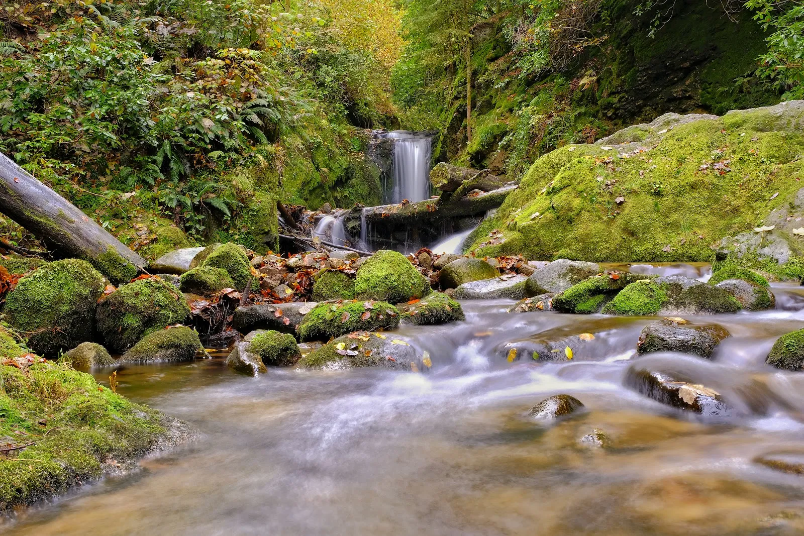 Вид на Водопад Герольдсау в Баден-Бадене