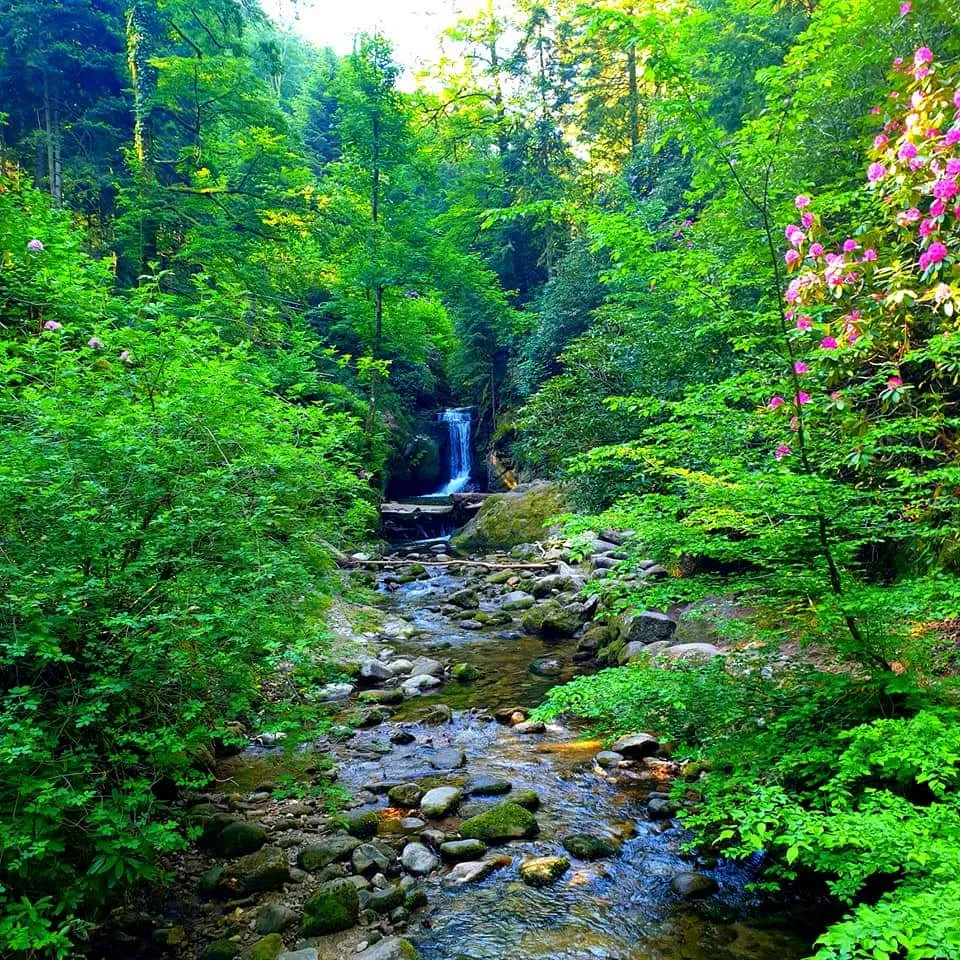 Вид на Водопад Герольдсау в Баден-Бадене