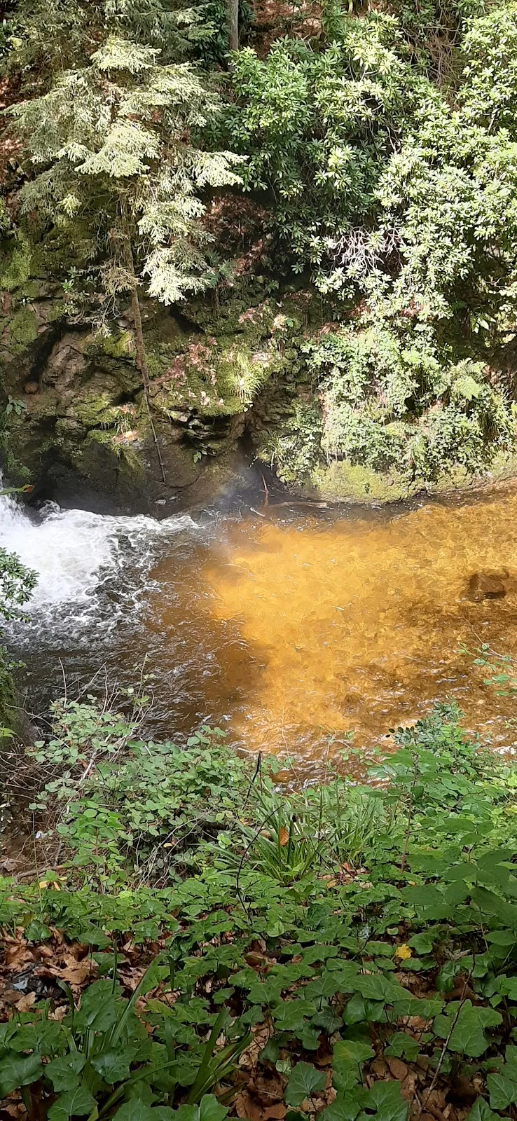 Вид на Водопад Герольдсау в Баден-Бадене